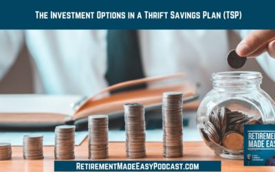 The Investment Options in a Thrift Savings Plan (TSP), Ep #113